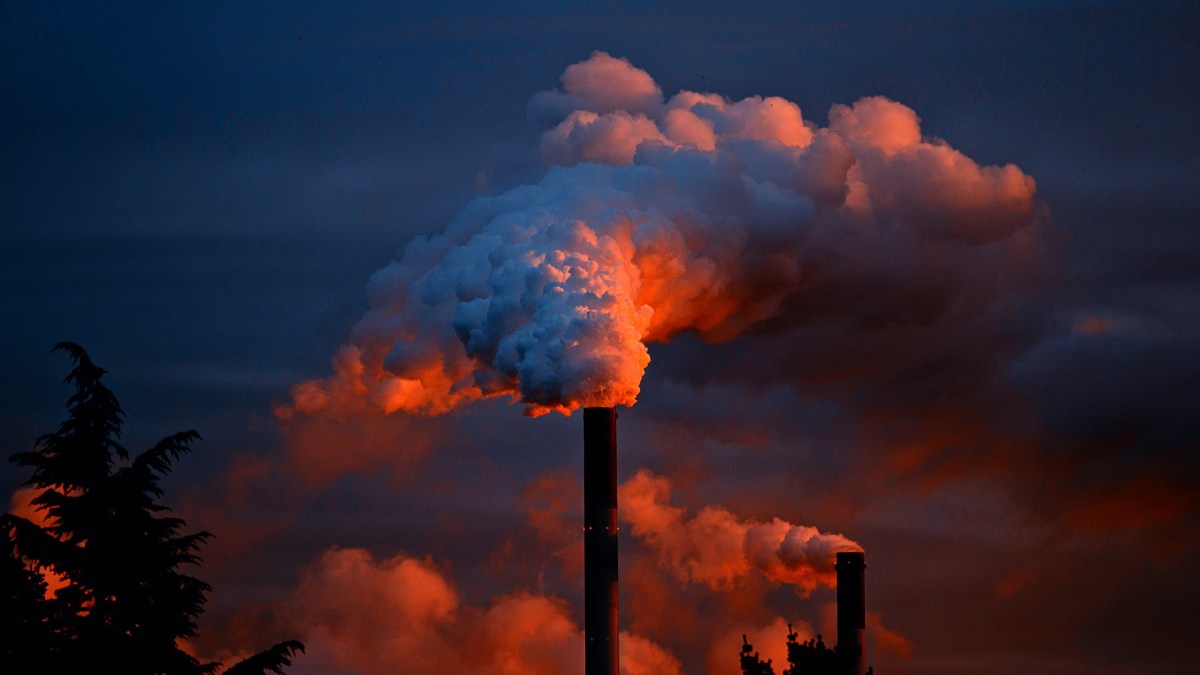 La pollution des industries sur l'environnement pourrait impacter, selon cette étude, les systèmes immunitaires de plusieurs générations successives. // Source : Pixabay La pollution des industries sur l'environnement pourrait impacter, selon cette étude, les systèmes immunitaires de plusieurs générations successives. // Source : Pixabay