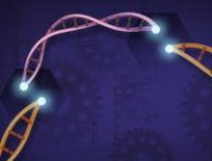 Flickr/CC/NIH Image Gallery