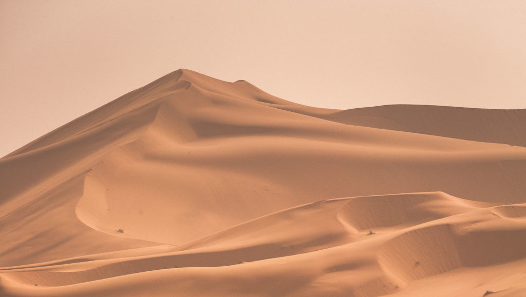 Dune Dune