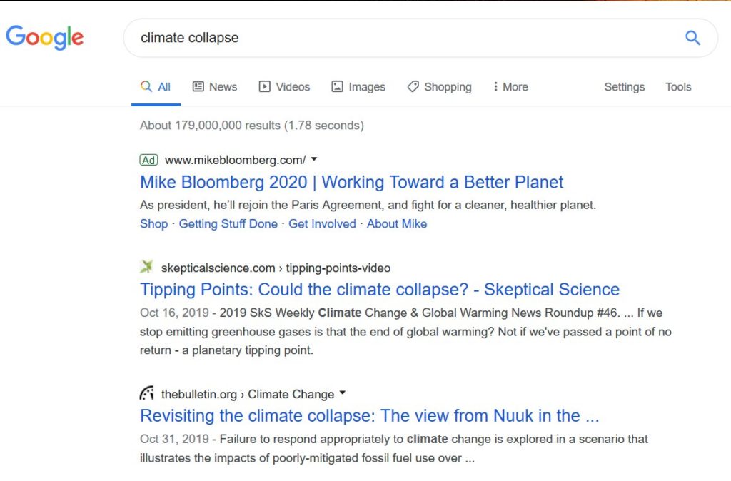 Une capture d'écran d'une recherche "effondrement climatique" sur Google US // Source : Twitter/WoobieTuesday Une capture d'écran d'une recherche "effondrement climatique" sur Google US // Source : Twitter/WoobieTuesday