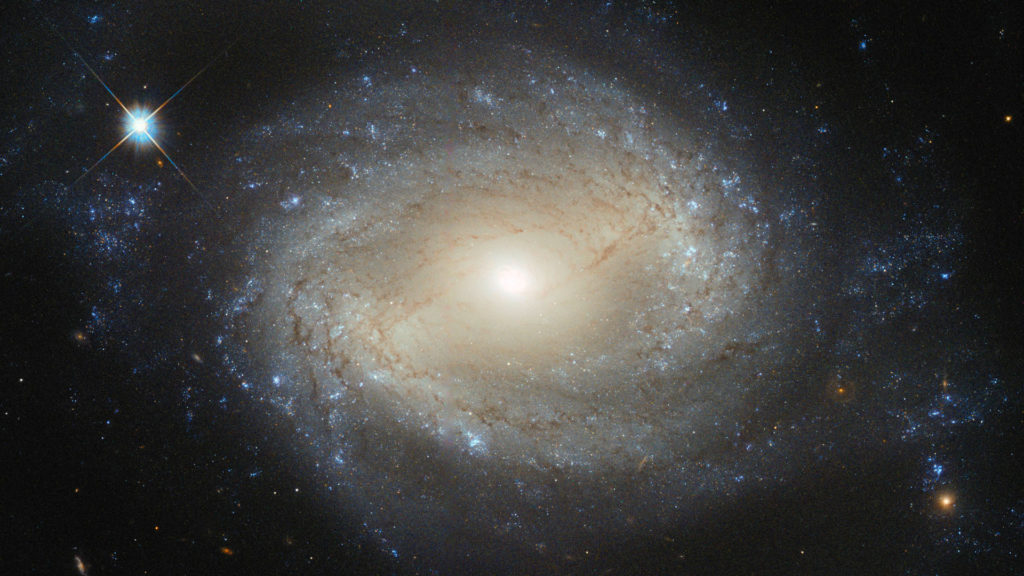 NGC 4639, une galaxie de Seyfert. // Source : Flickr/CC/ESA/Hubble & NASA (photo recadrée) NGC 4639, une galaxie de Seyfert. // Source : Flickr/CC/ESA/Hubble & NASA (photo recadrée)