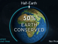 Capture Youtube / EOWilsonBiodiversity