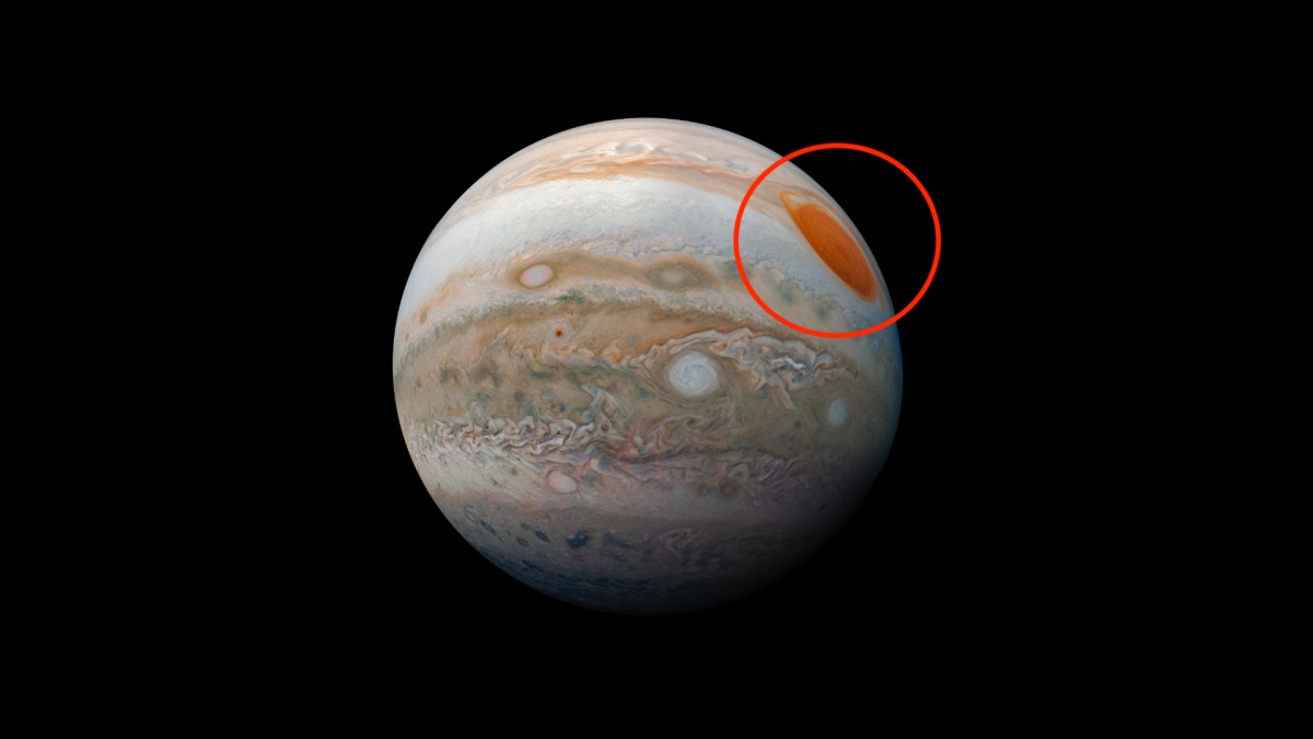 Jupiter et sa Grande Tache rouge. // Source : Flickr/CC/Kevin Gill (photo recadrée et modifiée) Jupiter et sa Grande Tache rouge. // Source : Flickr/CC/Kevin Gill (photo recadrée et modifiée)