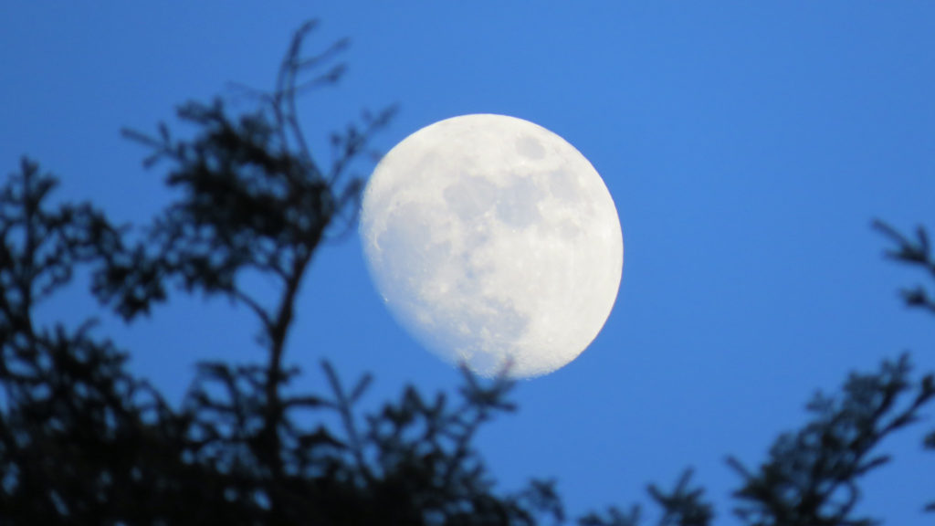 La Lune. // Source : Flickr/CC/ninfaj (photo recadrée) La Lune. // Source : Flickr/CC/ninfaj (photo recadrée)