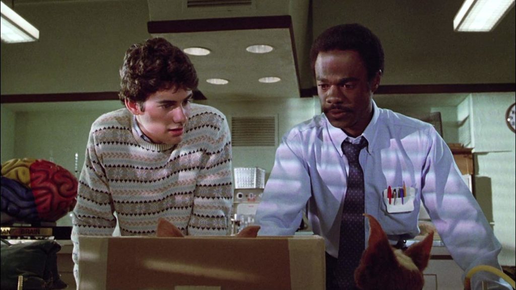 Gremlins // Source : Warner Bros. 