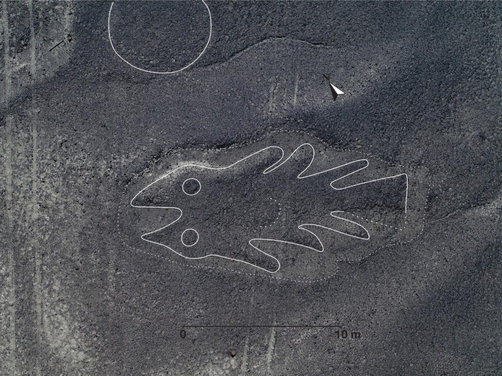 Les lignes de Nazca représentent souvent des animaux. Ici, c'est un poisson. // Source : Yamagata University Les lignes de Nazca représentent souvent des animaux. Ici, c'est un poisson. // Source : Yamagata University