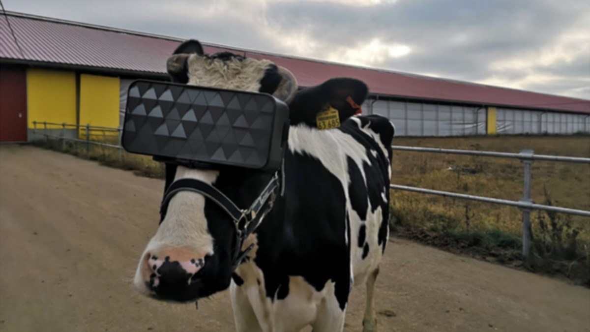 Ministry of Agriculture and Food of the Moscow Region Ministry of Agriculture and Food of the Moscow Region