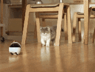 5538d72d939534e71d81e073e2817670_original