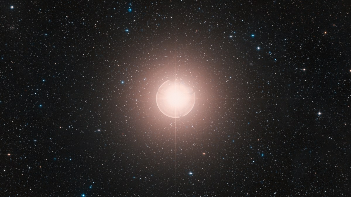Bételgeuse. // Source : Wikimedia/CC/ESO/Digitized Sky Survey 2 (photo recadrée) Bételgeuse. // Source : Wikimedia/CC/ESO/Digitized Sky Survey 2 (photo recadrée)