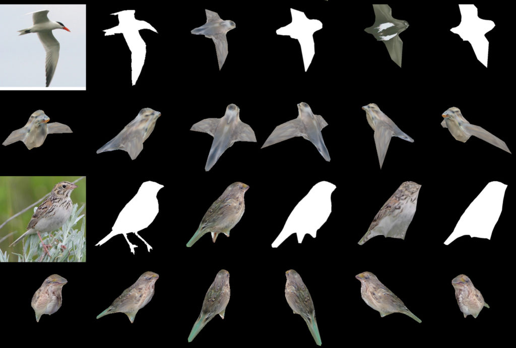 Des photos d'oiseaux transformés en objets en trois dimensions. // Source : Nvidia Des photos d'oiseaux transformés en objets en trois dimensions. // Source : Nvidia