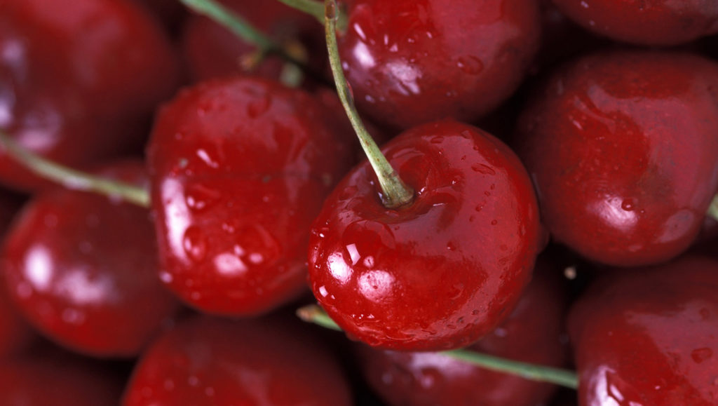 cerises cerises
