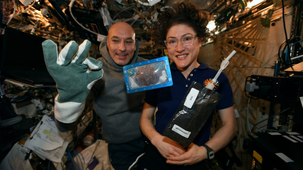 Les astronautes Luca Parmitano et Christina Koch. // Source : Twitter @Astro_Christina (photo recadrée) Les astronautes Luca Parmitano et Christina Koch. // Source : Twitter @Astro_Christina (photo recadrée)
