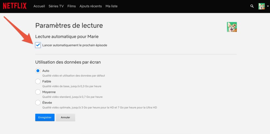 Capture d'écran des paramètres de Netflix Capture d'écran des paramètres de Netflix