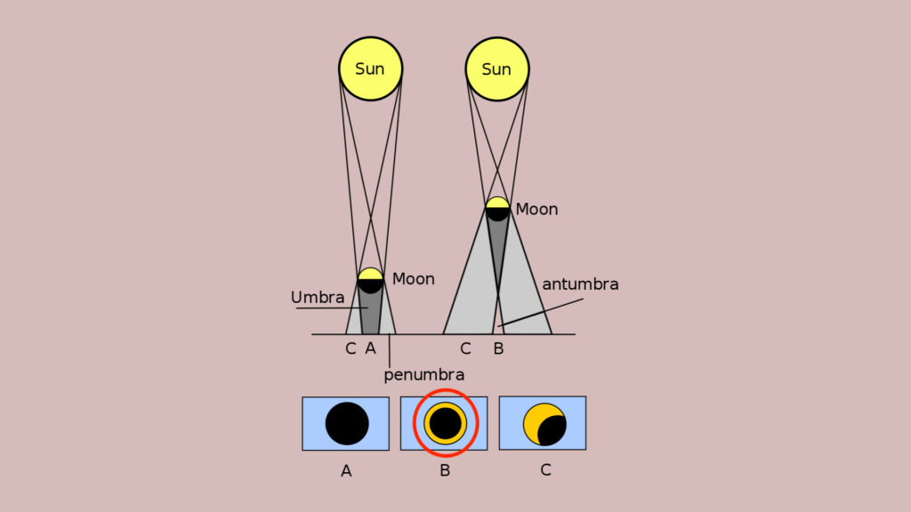 Le cas B représente une éclipse annulaire. // Source : Wikimedia/CC/Sushant savla (photo recadrée, modifiée et annotée) Le cas B représente une éclipse annulaire. // Source : Wikimedia/CC/Sushant savla (photo recadrée, modifiée et annotée)