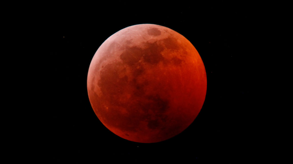 L'éclipse lunaire du 20 janvier 2019. // Source : Wikimedia/CC/Shayne Kaye (photo recadrée) L'éclipse lunaire du 20 janvier 2019. // Source : Wikimedia/CC/Shayne Kaye (photo recadrée)