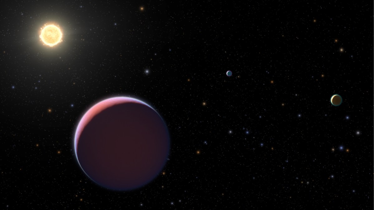 La composition de deux exoplanètes est comparée à la barbe à papa. // Source : University of Colorado Boulder La composition de deux exoplanètes est comparée à la barbe à papa. // Source : University of Colorado Boulder