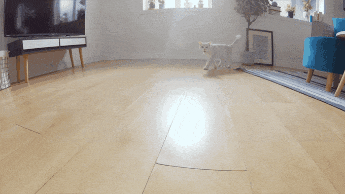 Welcome to the Catrix // Source : Ebo