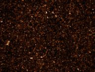Cette image contient des milliers de galaxies. // Source : SARAO; NRAO/AUI/NSF (photo recadrée)
