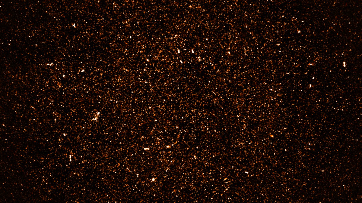 Cette image contient des milliers de galaxies. // Source : SARAO; NRAO/AUI/NSF (photo recadrée)
