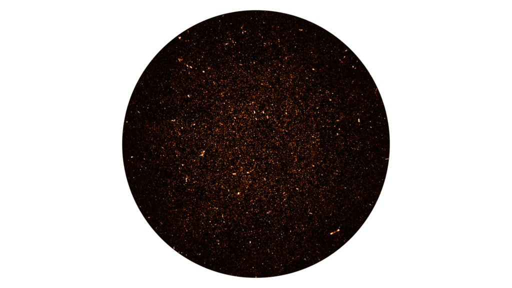 L'image des milliers de galaxies. // Source : SARAO; NRAO/AUI/NSF (photo recadrée)