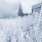Le solstice d'hiver tombe le 22 décembre 2019. // Source : Pxhere/CC0 Domaine public (photo recadrée) Le solstice d'hiver tombe le 22 décembre 2019. // Source : Pxhere/CC0 Domaine public (photo recadrée)