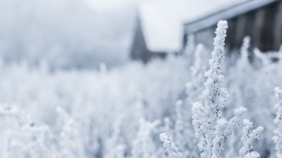 Le solstice d'hiver tombe le 22 décembre 2019. // Source : Pxhere/CC0 Domaine public (photo recadrée)