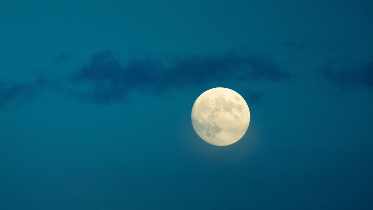 Pleine Lune. // Source : Canva Pleine Lune. // Source : Canva