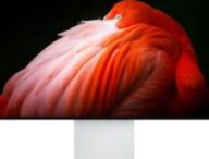 Apple Pro Display XDR // Source : Apple
