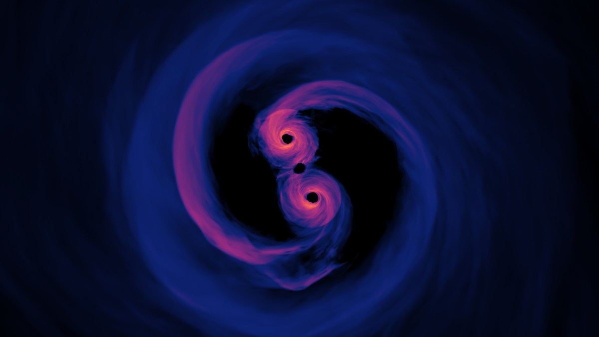 Deux trous noirs en orbite l'un autour de l'autre. // Source : Flickr/CC/NASA’s Goddard Space Flight Center Deux trous noirs en orbite l'un autour de l'autre. // Source : Flickr/CC/NASA’s Goddard Space Flight Center