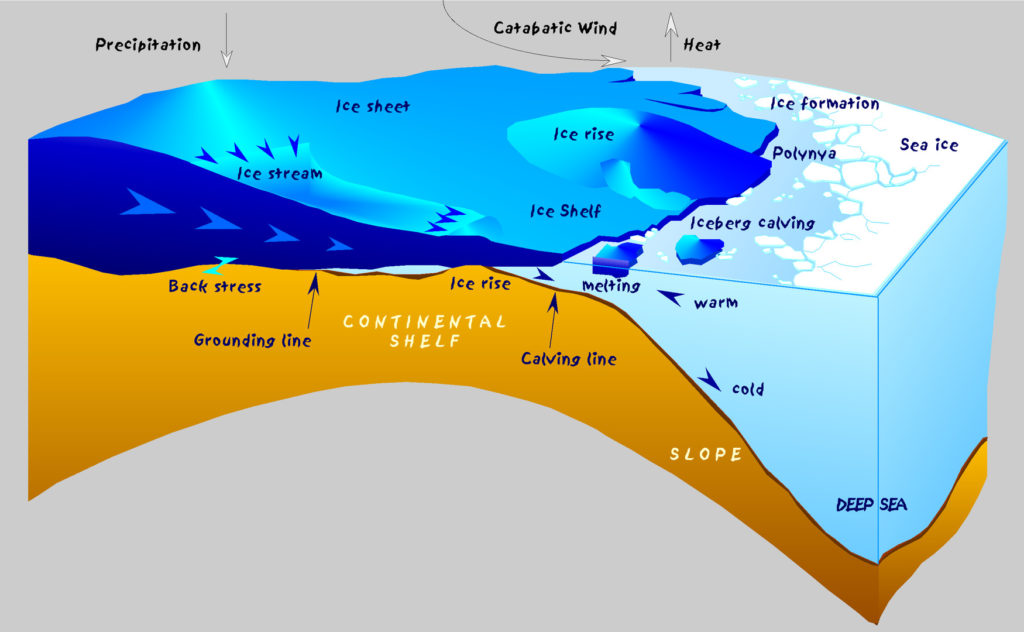 La « grounding line » est la frontière où le glacier ne touche plus le sol. // Source : Hannes Grobes