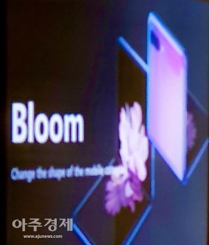 ajunews.com ajunews.com