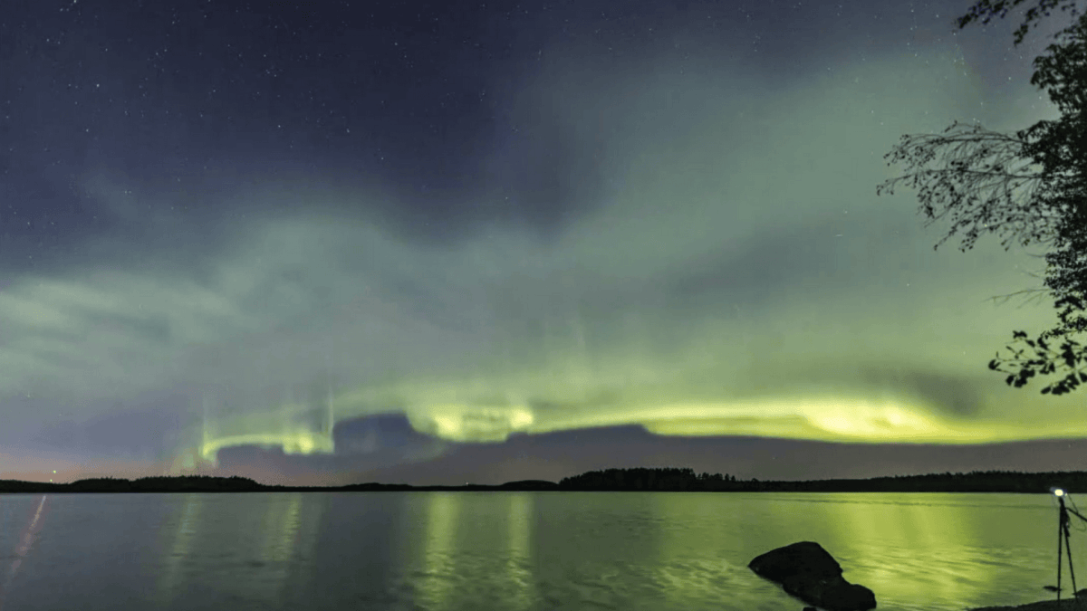 Kari Saari Kari Saari