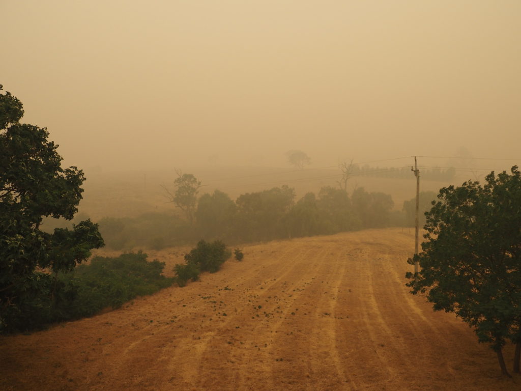 Les incendies australiens ont donné lieu à une épaisse fumée qui s'est répandue dans tout le sud-est de la région et même au-delà. // Source : Flickr/CC/Steve Shattuck Les incendies australiens ont donné lieu à une épaisse fumée qui s'est répandue dans tout le sud-est de la région et même au-delà. // Source : Flickr/CC/Steve Shattuck