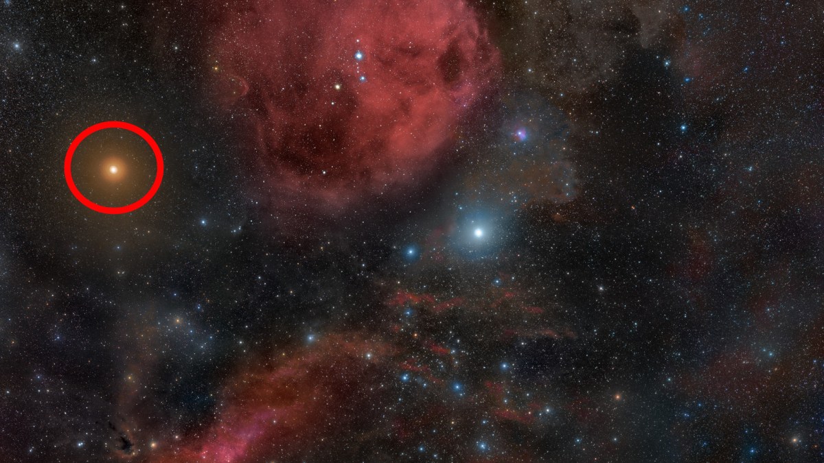 Bételgeuse dans la constellation d'Orion. // Source : Wikimedia/CC/Rogelio Bernal Andreo (photo recardée et modifiée) Bételgeuse dans la constellation d'Orion. // Source : Wikimedia/CC/Rogelio Bernal Andreo (photo recardée et modifiée)