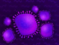 Le coronavirus nCov-2019 (illustration). // Source : Numerama / Claire Braikeh