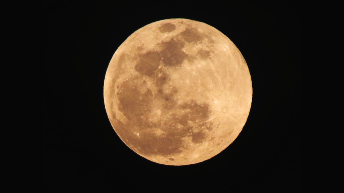 Une éclipse de Lune par la pénombre en 2013. // Source : Wikimedia/CC/Luisalvaz (photo recadrée) Une éclipse de Lune par la pénombre en 2013. // Source : Wikimedia/CC/Luisalvaz (photo recadrée)