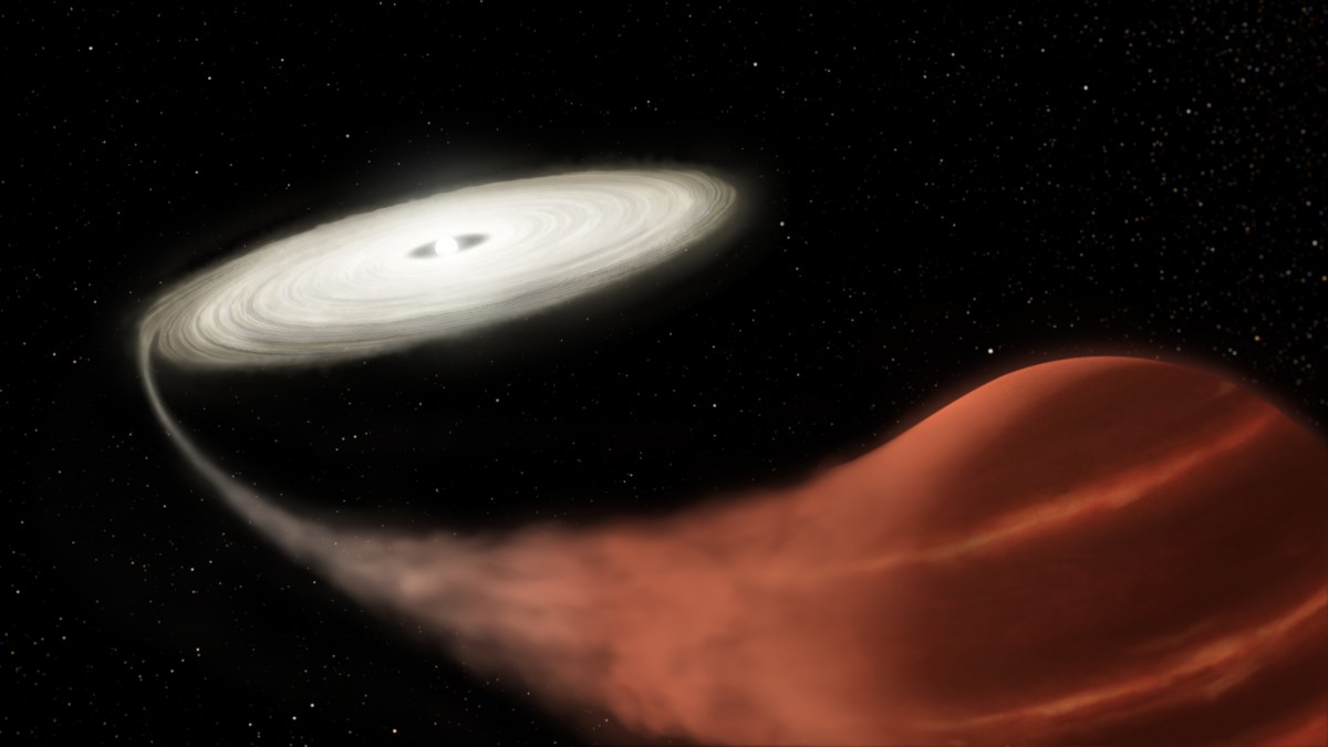 Une vue d'artiste du système observé par la Nasa. // Source : NASA and L. Hustak (STScI) Une vue d'artiste du système observé par la Nasa. // Source : NASA and L. Hustak (STScI)