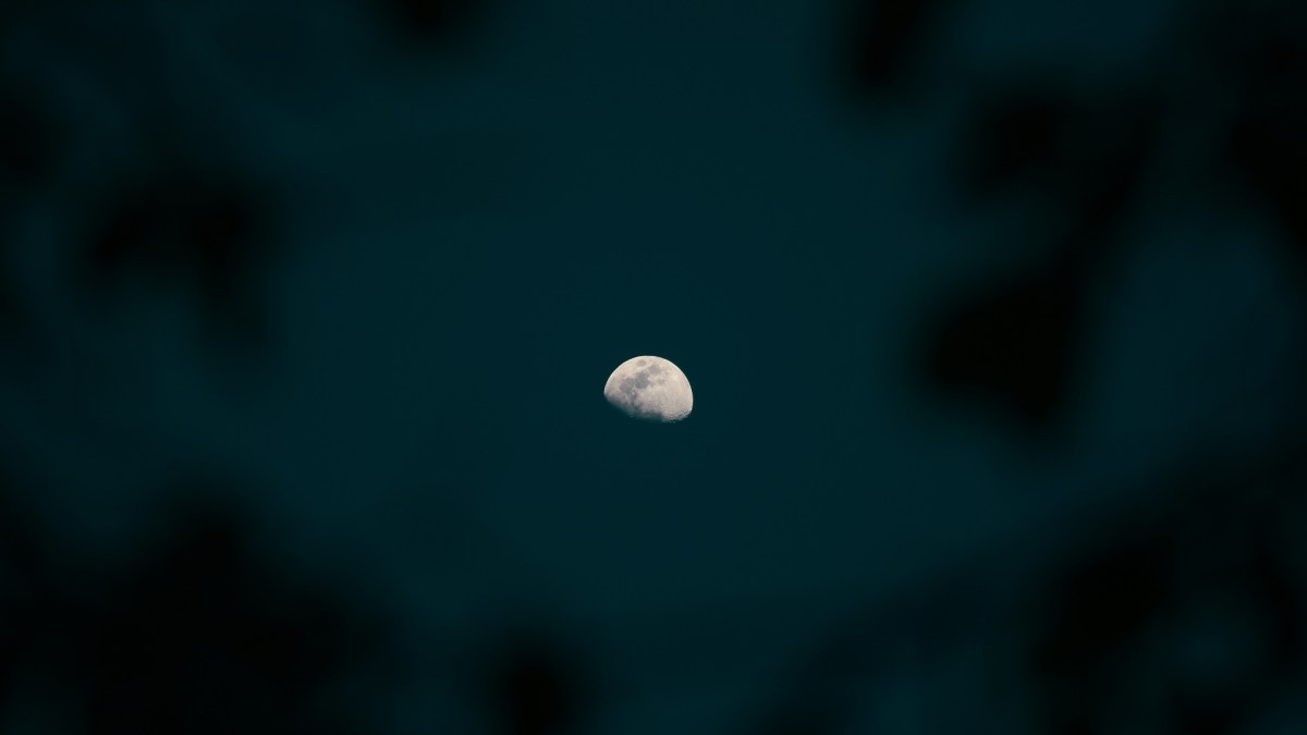 La Lune. // Source : Pxhere/CC0 Domaine public (photo recadrée) La Lune. // Source : Pxhere/CC0 Domaine public (photo recadrée)