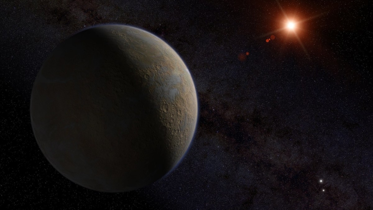 Proxima Centauri b, vue d'artiste. // Source : Flickr/CC/Kevin Gill Proxima Centauri b, vue d'artiste. // Source : Flickr/CC/Kevin Gill