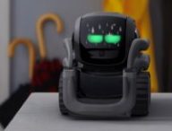 Anki / Vector
