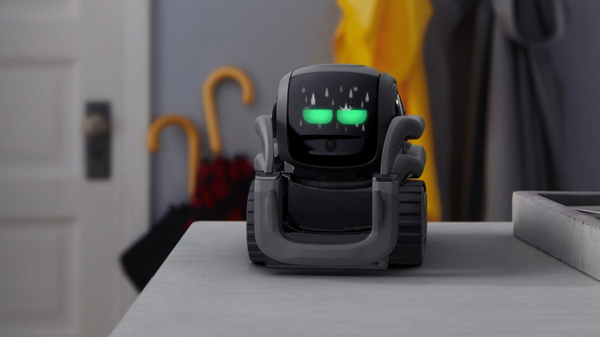 Anki / Vector Anki / Vector