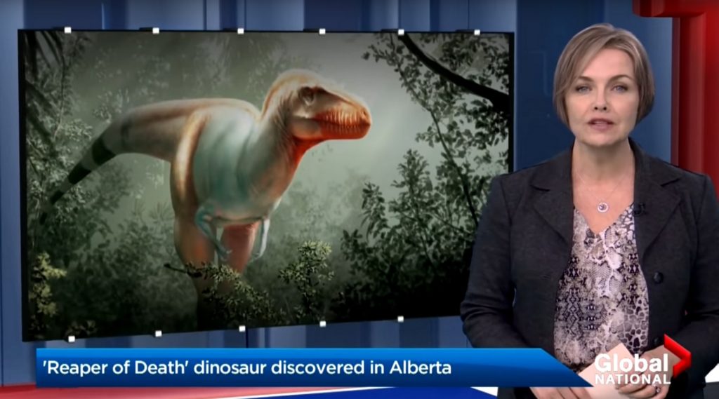Cette espèce de tyrannosaure est la cinquième ayant vécu au Canada. // Source : Global Cette espèce de tyrannosaure est la cinquième ayant vécu au Canada. // Source : Global