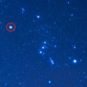 Bételgeuse dans la constellation d'Orion. // Source : Pixabay (photo recadrée, annotation Numerama) Bételgeuse dans la constellation d'Orion. // Source : Pixabay (photo recadrée, annotation Numerama)