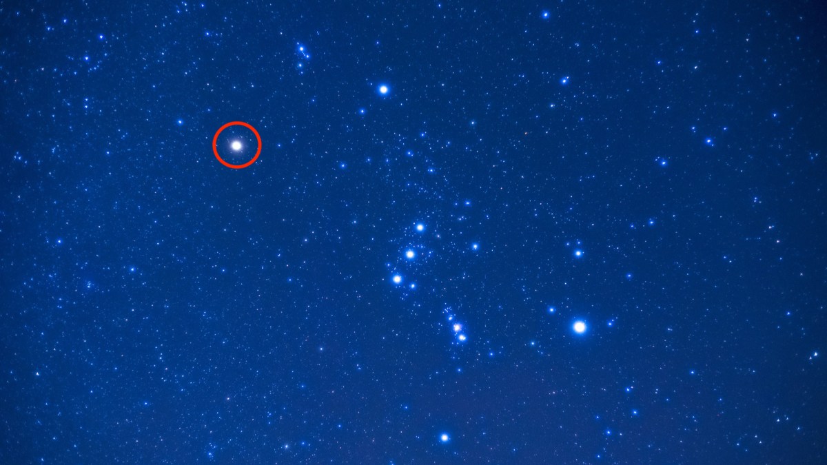 Bételgeuse dans la constellation d'Orion. // Source : Pixabay (photo recadrée, annotation Numerama) Bételgeuse dans la constellation d'Orion. // Source : Pixabay (photo recadrée, annotation Numerama)