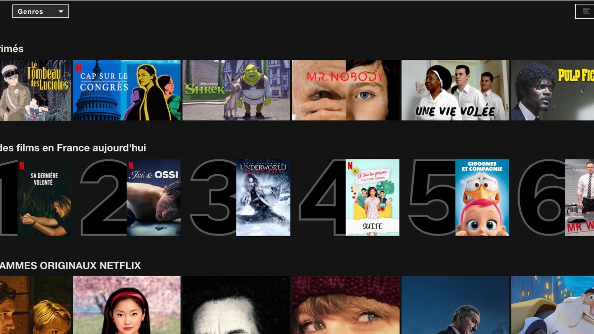 Capture d'écran de la page d'accueil Netflix Capture d'écran de la page d'accueil Netflix