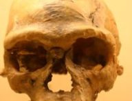 Smithsonian Natural History Museum / Ryan Somma / Crâne d'Homo sapiens à Jebel Irhoud