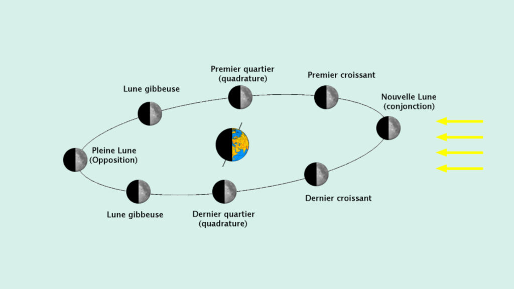 Les phases de la Lune. // Source : Wikimedia/CC/Looxix (photo recadrée et modifiée) Les phases de la Lune. // Source : Wikimedia/CC/Looxix (photo recadrée et modifiée)