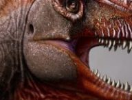 JuliusCsotonyi