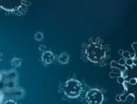Représentation de coronavirus. // Source : Pixabay