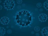 Il n'existe pas encore de traitement spécifique contre ce nouveau coronavirus. // Source : Pixabay